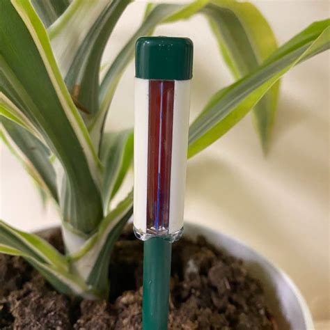 watering container plants using a moisture meter|watering indicators for house plants.